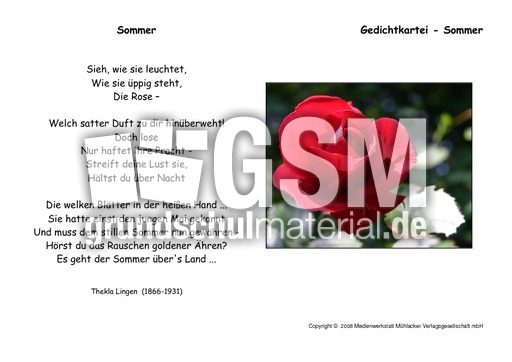 Sommer-Lingen.pdf